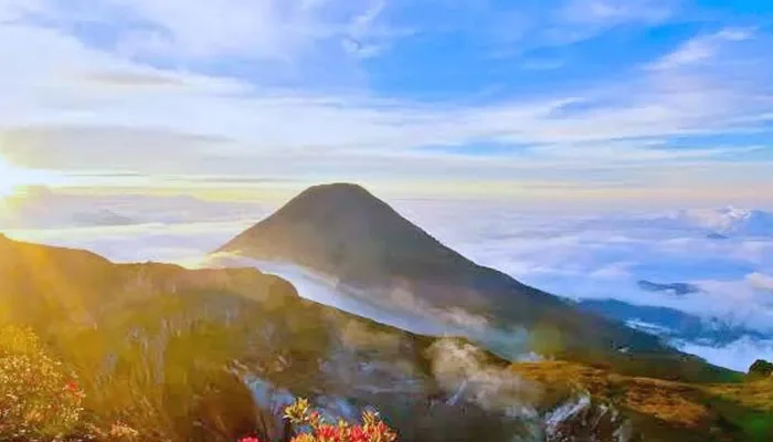 Gunung Gede Sejarah Letusan Objek Pendakian Wisatawan